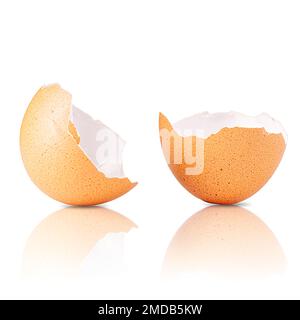 Egg shell isolated on white. Broken egg shell isolated on white Stock Photo