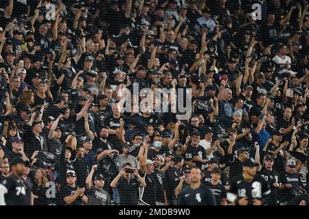 Chicago white sox fans cheer hi-res stock photography and images