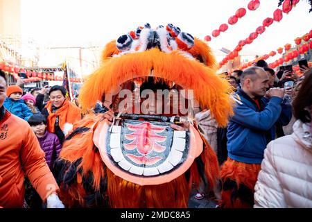 London, UK. 22nd Jan, 2023. A stunt performer is seen navigating the Lion head during the celebration. The London Chinatown Chinese Association (LCCA) brings back the celebration for Lunar New Year to London after on hold last year due to COVID pandemic. The theme of the celebration this year is Festival of Spring and to celebrate the Year of Rabbit. Credit: SOPA Images Limited/Alamy Live News Stock Photo