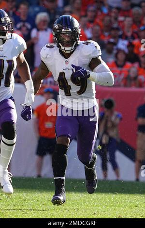 File:Chris Board Baltimore Ravens 2021 (cropped).jpg - Wikipedia