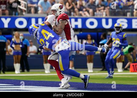 Arizona Cardinals tight end Maxx Williams' first catch of 2020 goes for a TD