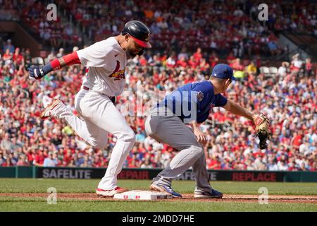 St Louis Cardinals Edmundo Sosa Slides Editorial Stock Photo