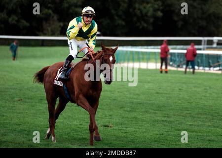 Jockey Maxime Guyon on Rougir celebrates after winning the Prix