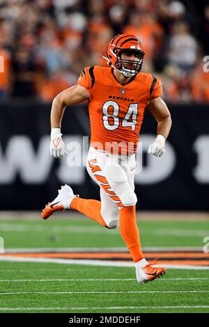 Cincinnati Bengals tight end Mitchell Wilcox (84) warms up before an NFL  football game against the Carolina Panthers, Sunday, Nov. 6, 2022, in  Cincinnati. (AP Photo/Emilee Chinn Stock Photo - Alamy