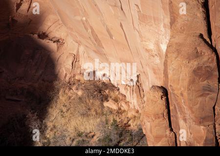 Navajo National Monument preserves ancient cliff dwelling structures of the ancient Pueblo people in northern Arizona, USA. Stock Photo