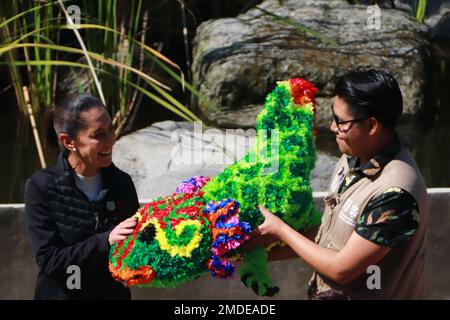 Non Exclusive: January 21, 2023 in Mexico City, Mexico: The head of government, Claudia Sheinbaum Pardo, during the official opening of the Axolote mu Stock Photo