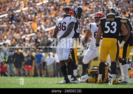 Cincinnati Bengals defensive end Cam Sample (96) lines up on defense during  an NFL football game against the Arizona Cardinals, Friday, Aug. 12, 2022,  in Cincinnati. (AP Photo/Zach Bolinger Stock Photo - Alamy