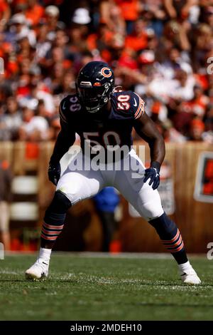 Chicago Bears linebacker Jeremiah Attaochu (50) moves after the ball during  an NFL football game against the Cleveland Browns, Sunday, Sept. 26, 2021,  in Cleveland. (AP Photo/Kirk Irwin Stock Photo - Alamy