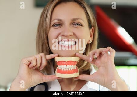 Dentist smiles and shows plastic jaws in her hands. Stock Photo