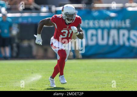 Arizona Cardinals safety Chris Banjo (31) on defense during an NFL