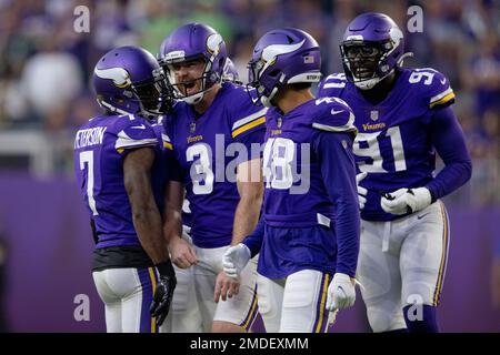 Minnesota Vikings punter Jordan Berry (3) on the field during