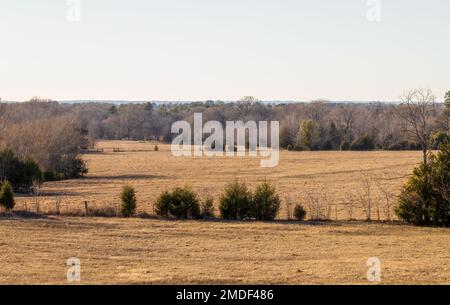 Rural landscape pasture. Texas ranch farmland in winter time. Stock Photo
