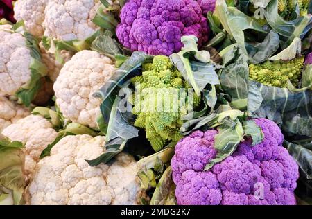 A selection of various types of cauliflower, including romanesco, regular and purple Stock Photo