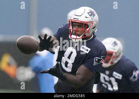 New England Patriots linebacker Ja'Whaun Bentley (8) makes a catch