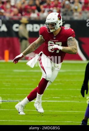 Arizona Cardinals tight end Maxx Williams (87) against the Minnesota  Vikings during the second half of an NFL football game, Sunday, Sept. 19,  2021, in Glendale, Ariz. (AP Photo/Ross D. Franklin Stock