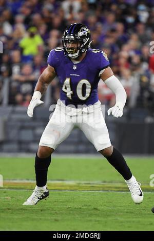 Baltimore Ravens safety Marcus Williams (32) in action during the first  half of an NFL football game against the Houston Texans, Sunday, Sept. 10,  2023, in Baltimore. (AP Photo/Terrance Williams Stock Photo - Alamy