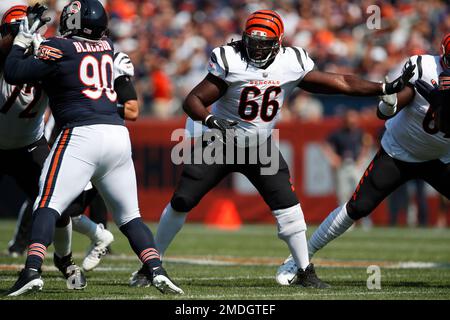 Cincinnati Bengals center Trey Hopkins (66) blocks during an NFL football  game against the Baltimore Ravens, Sunday, Oct. 24, 2021 in Baltimore, Md.  (AP Photo/Daniel Kucin Jr Stock Photo - Alamy