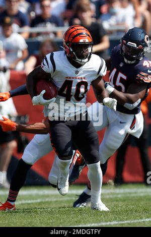 Cincinnati Bengals safety Brandon Wilson (40) warms up on the field before  an NFL football game between the Indianapolis Colts and Cincinnati Bengals,  Sunday, Oct. 18, 2020, in Indianapolis. (AP Photo/Zach Bolinger