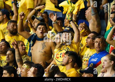 Philadelphia Union fans cheer on their team from ''The River End''  supporters section during the game against the San Jose Earthquakes at PPL  Park in Chester, PA. The Union lost 2-1. (Credit