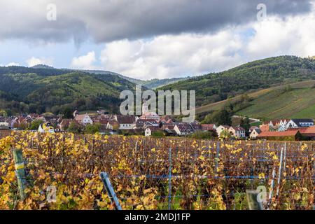 France, Haut-Rhin (68), Route des Vins d'Alsace, Riquewihr labellisé Les PLus Beaux Villages de France, automne Stock Photo
