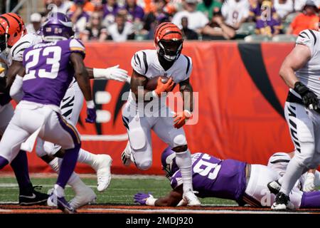 Cincinnati Bengals running back Samaje Perine (34) carries the ball during  an NFL football game against the Kansas City Chiefs, Sunday, Dec. 4, 2022,  in Cincinnati. (AP Photo/Emilee Chinn Stock Photo - Alamy