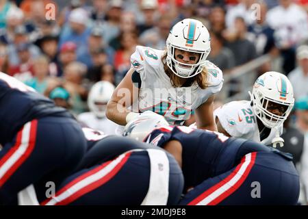 Miami Dolphins inside linebacker Andrew Van Ginkel (43) defends against the  New York Jets during an NFL football game, Sunday, Nov. 21, 2021, in East  Rutherford, N.J. (AP Photo/Adam Hunger Stock Photo - Alamy