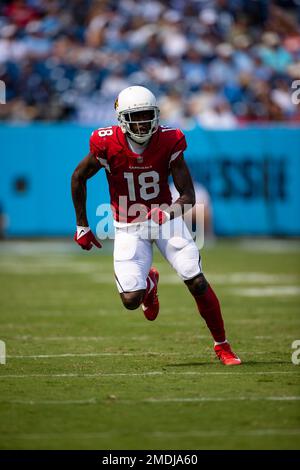 Arizona Cardinals wide receiver A.J. Green (18) catches a touchdown pass  against a Los Angeles Rams denfender during a NFL football game, Sunday,  Nov. 13, 2022, in Inglewood, Calif. The Cardinals defeated