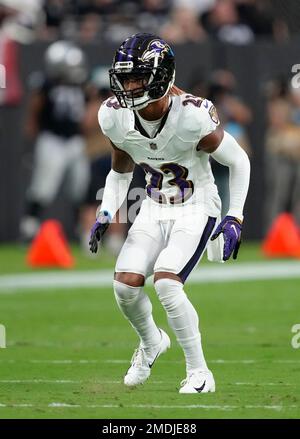 Seattle, United States. 20th Oct, 2019. Seattle Seahawks wide receiver D.K.  Metcalf (14) catches a 37-yard pass from over defending Baltimore Ravens  cornerback Anthony Averett (34) during the first quarter at CenturyLink