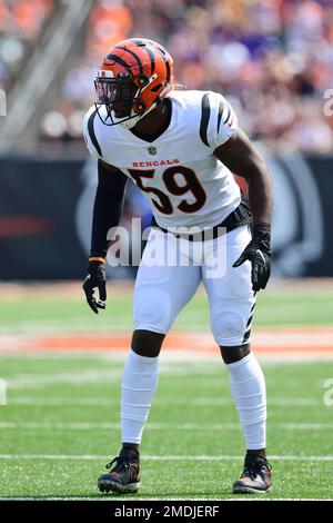 Cincinnati Bengals linebacker Akeem Davis-Gaither (59) lines up for the  play during an NFL football game against the Atlanta Falcons, Sunday, Oct.  23, 2022, in Cincinnati. (AP Photo/Emilee Chinn Stock Photo - Alamy