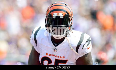 Cincinnati Bengals defensive tackle Larry Ogunjobi (65) reacts after an  injury during an NFL wild-card playoff football game against the Las Vegas  Raiders, Saturday, Jan. 15, 2022, in Cincinnati. (AP Photo/Emilee Chinn