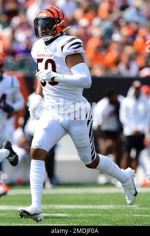 Cincinnati Bengals offensive guard Mike Jordan (60) stretches against the Tampa  Bay Buccaneers in a pre-season NFL football game, Saturday, Aug. 14, 2021  in Tampa, Fla. (AP Photo/Alex Menendez Stock Photo - Alamy