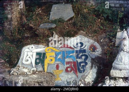 Located in Western Himachal region, Dharamshala is a prominent name in Buddhist tour to the state, as the home of Dalai Lama and all the Tibetans in exile. It is a well-known centre for studying Buddhism, its sutras, tantras, and major texts related to this. Ever since the Dalai Lama and his entourage escaped the Chinese invasion of Tibet in 1959 and were granted a new home in the district of Dharamsala, Dharamshala is the winter capital of Himachal Pradesh, India. Stock Photo