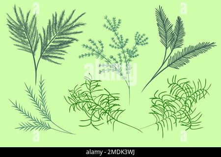 Watercolor elements green leaves branches set. Botanic composition watercolor hand-painted isolated on white background, Suitable for natural botanica Stock Vector