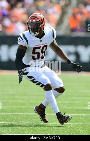 Cincinnati Bengals linebacker Akeem Davis-Gaither (59) lines up for the  play during an NFL football game against the Atlanta Falcons, Sunday, Oct.  23, 2022, in Cincinnati. (AP Photo/Emilee Chinn Stock Photo - Alamy