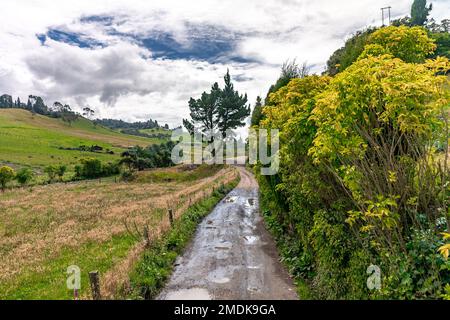 forests and mountains in the beautiful Colombian nature Stock Photo - Alamy