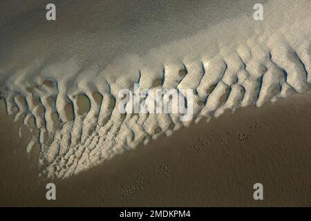 Sand bank in river Scheldt, aerial view, Belgium, East Flanders, Zeeschelde, Temse Stock Photo