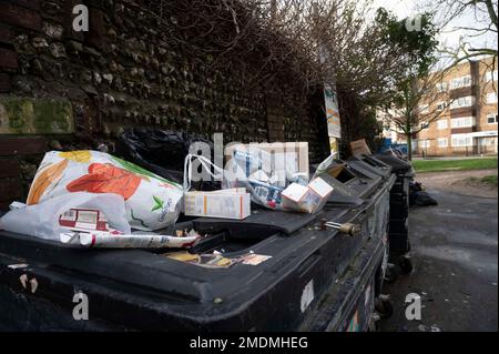 Overflowing recycling bins at a local council collection facility Stock ...