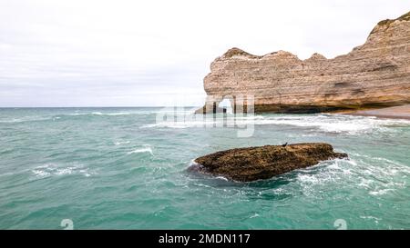 A Cormorant sitting on a rock in the water on a stormy day, with steep cliffs in the background at the beach of Etretat, France. Stock Photo