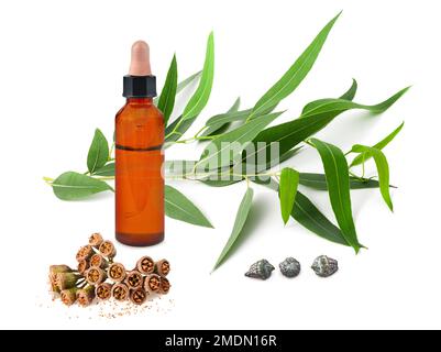 Eucalyptus branch with bottle with  essential oil isolated on white Stock Photo