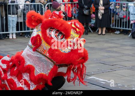 chinese new year celebrations durham