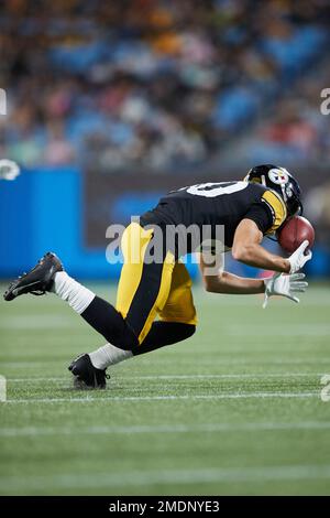 Pittsburgh Steelers wide receiver Mathew Sexton (80) stands at the