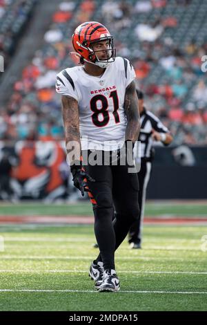 Cincinnati Bengals tight end Thaddeus Moss (81) reacts after his touchdown  is waived off as incomplete during a preseason NFL football game against  the Los Angeles Rams Saturday, Aug. 27, 2022, in