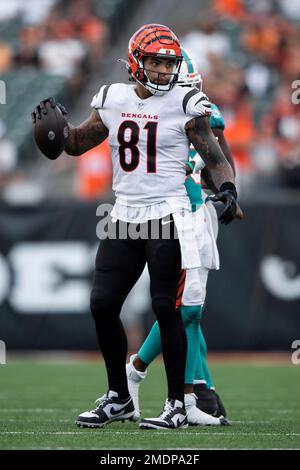 CINCINNATI, OH - AUGUST 29: Cincinnati Bengals tight end Thaddeus Moss (81)  warms up before the game against the Miami Dolphins and the Cincinnati  Bengals on August 29, 2021, at Paul Brown