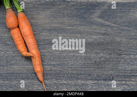 Two organic carrots on a wooden table. Copy space. Natural vegetable garden. Stock Photo
