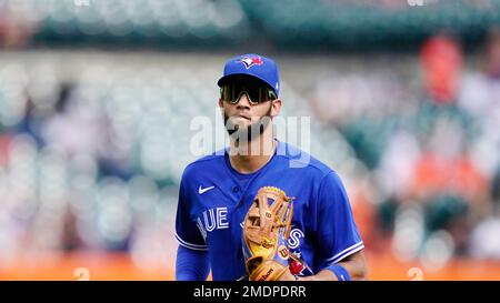 Toronto Blue Jays outfielder Lourdes Gurriel Jr. returns to the Blue Jays  dugout at Rogers Centre Stock Photo - Alamy