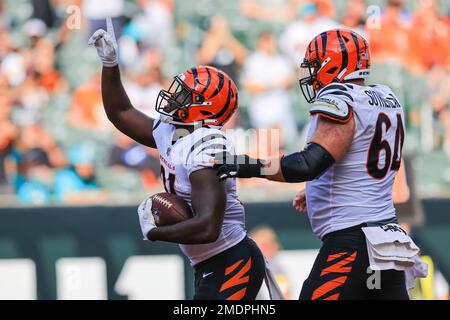 Cincinnati Bengals running back Jacques Patrick (39) is tackled by Arizona  Cardinals safety Tae Daley (48) during an NFL football game Friday, Aug.  12, 2022, in Cincinnati. (AP Photo/Jeff Dean Stock Photo - Alamy