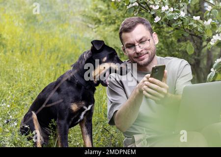 Dog looks at phone with surprised emotions with opened mouth while man showing screen of mobile phone to dog sitting on grass outdoors. Stock Photo