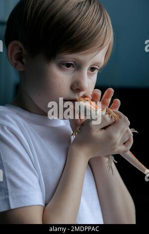 Portrait of boy with Red bearded Agama iguana. Little child playing with reptile. Selective focus. High quality photo Stock Photo