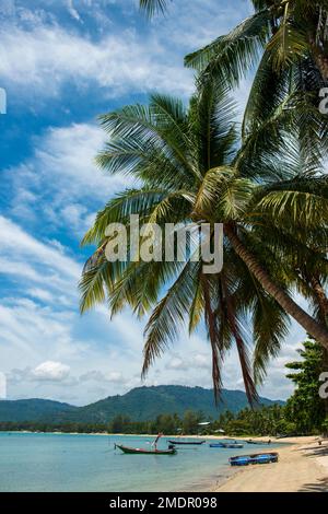 Palm Beach, Lipa Noi Beach, Ko Samui Island, Thailand, Asia Stock Photo