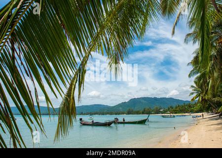 Palm Beach, Lipa Noi Beach, Ko Samui Island, Thailand, Asia Stock Photo